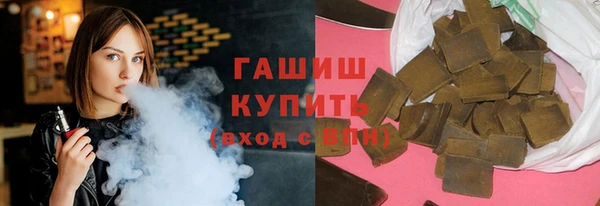 индика Новодвинск