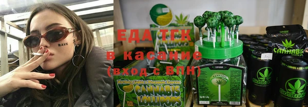индика Новодвинск